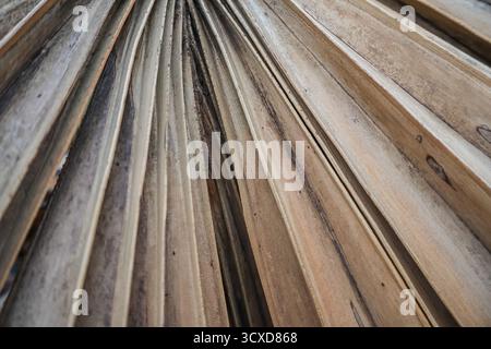Trockene Palmblattnaht. Tropische Palmblätter Hintergrund. Stockfoto