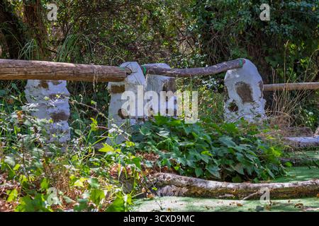 Rustikaler Holzzaun mit Steinpfosten, weiß gestrichen, trennt üppige grüne Natur und bewachsene Vegetation in eine ländliche Umgebung Stockfoto