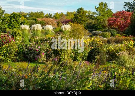 Die farbenfrohe Pracht der Natur im Botanischen Garten in München im Herbst. Die Bäume, Sträucher Und Gräser Leuchten In Vielen Verschiedenen Farben Stockfoto