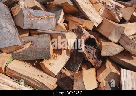 Ein Haufen frisch geschnittener, roher Brennholzstämme, die im Freien gestapelt sind und perfekt für Konzepte wie Winterheizung, rustikale Themen oder erneuerbare Energien geeignet sind. Stockfoto