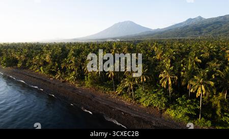 Morgenlicht über dem Mount Agung – wo schwarzer Sand auf endlosen Palmendschungel trifft und Bali sich völlig wild anfühlt. Stockfoto