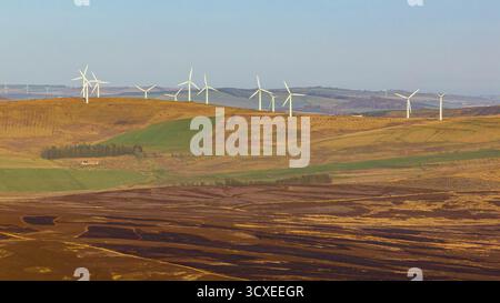 Luftaufnahme eines Windparks auf den Lammermuir Hills, Schottland, mit Windturbinen über Heideflächen, Ackerland und Schafen im warmen, tiefen Sonnenlicht Stockfoto
