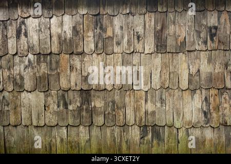 Muster der unlackierten, schmutzigen alten Teakholzdielen dekorativen Oberfläche einer Wand. Stockfoto