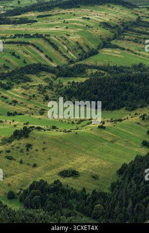 Blick aus der Vogelperspektive auf grüne Berge, Wälder und Wiesen im Sommer, mit üppigen Hügeln und lebendiger natürlicher Landschaft. Stockfoto
