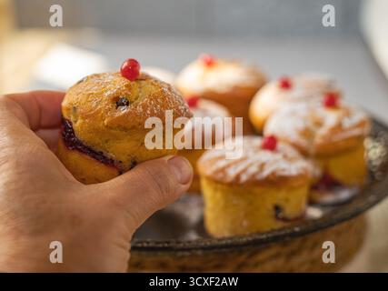 Weibliche Hand nimmt hausgemachten Muffin mit roten Beeren und Puderzucker aus dem Teller in warmem natürlichem Licht Stockfoto