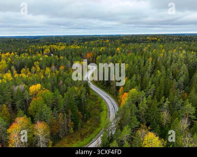 Erhöhte Luftaufnahme, die eine kurvenreiche Straße zeigt, während sie durch ein stark bewaldetes Gebiet mit gemischten grünen, gelben und roten Herbstfarben unter einem breiten, Stockfoto