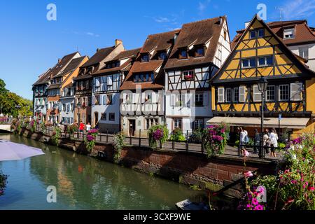 Farbenfrohe Fachwerkhäuser am Quai de la Poissonnerie am Fluss Lauch in Colmar, Elsass, Frankreich. Stockfoto