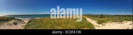 Weitläufige Küstenlandschaft mit Sandstrand, grünen Dünen und einem leuchtend blauen Himmel. Ideal für von der Natur inspirierte Designs und Projekte. Stockfoto