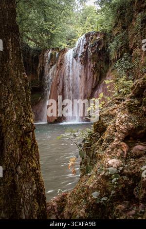 Ein Wasserfall inmitten eines Waldes, der sich in einen kleinen, flachen See stürzt, umgeben von Efeu-bedeckten Felsen und üppiger Vegetation. Stockfoto