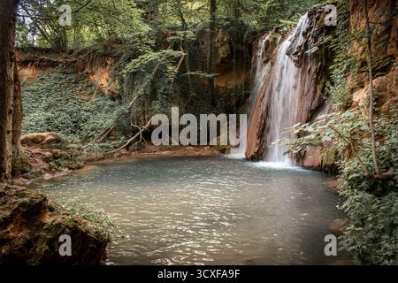 Ein Wasserfall inmitten eines Waldes, der sich in einen kleinen, flachen See stürzt, umgeben von Efeu-bedeckten Felsen und üppiger Vegetation. Stockfoto
