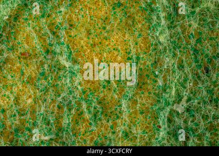 Extreme Nahaufnahme einer gelben und grünen Reinigungsschwamm-Textur, abstrakter Hintergrund Stockfoto