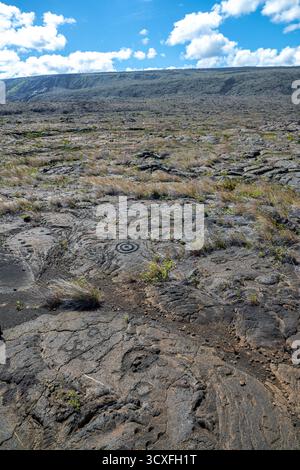 Entlang des Weges zu den Pu’u Loa Petroglyph Fields auf Big Island, HI Stockfoto