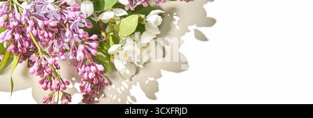 Frühlingsblumen-Arrangement mit Flieder- und Apfelblüten auf weißem Hintergrund. Stockfoto