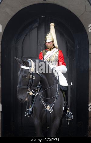 Ein montierter Soldat der Rettungsschwimmer im Dienst bei Horse Guards Stockfoto