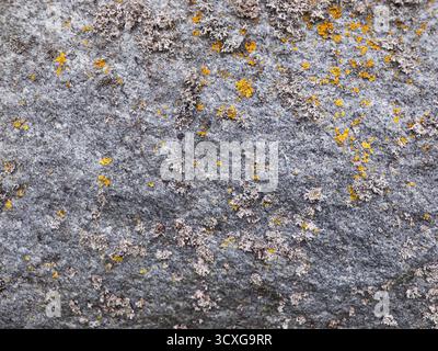 Naturstein Hintergrund. Moos auf einer Felswand. Relief und Textur von Stein mit Mustern und Moos. Stockfoto