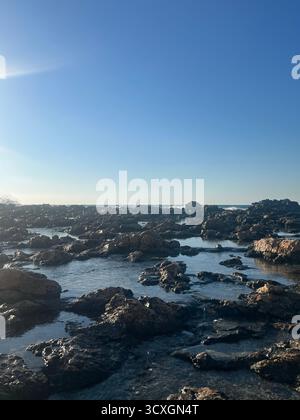 Ein ruhiger Blick auf eine felsige Küste unter einem klaren blauen Himmel. Das Sonnenlicht reflektiert von den nassen Felsen und schafft eine natürliche Küstenlandschaft. Stockfoto
