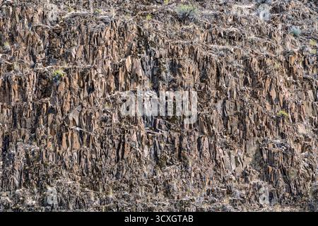 Die komplizierten Muster der Basaltgesteinsformationen oberhalb des John Day River bei Mitchell in Oregon, USA Stockfoto