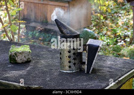 Bienenraucher auf einer Holzoberfläche, Rauch ausstrahlt, mit einem moosigen Stein daneben, im Freien, in einer natürlichen, leicht verschwommenen Umgebung. Stockfoto