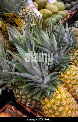 D'Agostino Supermarkt in New York City bietet eine große Auswahl an Produkten, USA 2025 Stockfoto