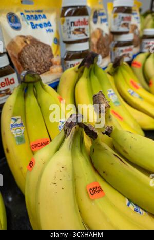D'Agostino Supermarkt in New York City bietet eine große Auswahl an Produkten, USA 2025 Stockfoto