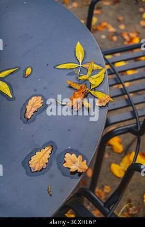 Nahaufnahme eines leeren modernen schwarzen Tisches auf der Terrasse des europäischen Cafés mit gefallenen gelben Blättern Stockfoto