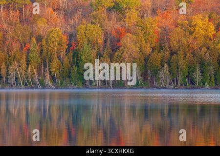 Bäume in Herbstfarbe spiegeln sich an einem ruhigen Morgen im Norden von Minnesota in einem See Stockfoto