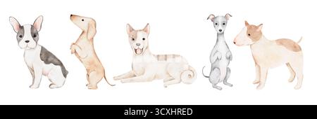 Aquarellillustration mit vier niedlichen Hunden verschiedener Rassen, die zusammen sitzen und stehen. Französische Bulldogge, Dackel, Husky, Bullterrier und Grau Stockfoto