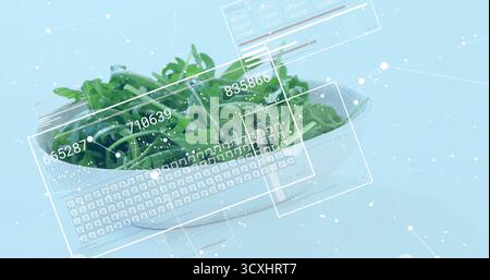 Weiße Keramikschale mit grünen Rucolablättern auf Studiotisch, digitale HUD-Überzüge Stockfoto
