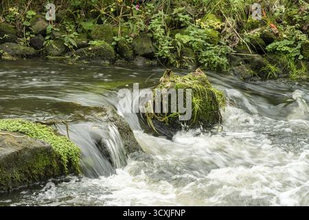 Borken, NRW, DeutschlandWater, der über Waldfelsen und grünes Moos stürzt und natürliche Kaskaden erzeugt Stockfoto