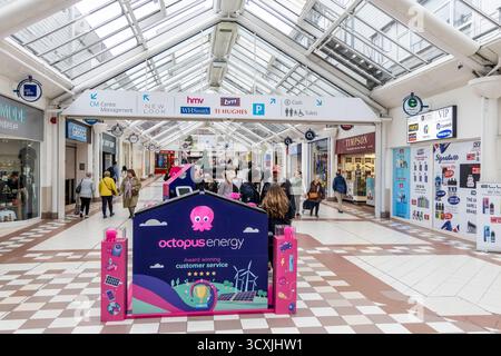 Octopus Energy, britischer Anbieter von Gas- und Stromvermarktung, Stand im Stadtzentrum von Bury, um neue Privatkunden in Manchester, Großbritannien, zu vermarkten Stockfoto