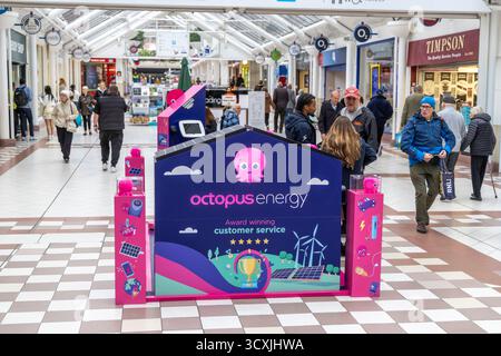 Octopus Energy, britischer Anbieter von Gas- und Stromvermarktung, Stand im Stadtzentrum von Bury, um neue Privatkunden in Manchester, Großbritannien, zu vermarkten Stockfoto