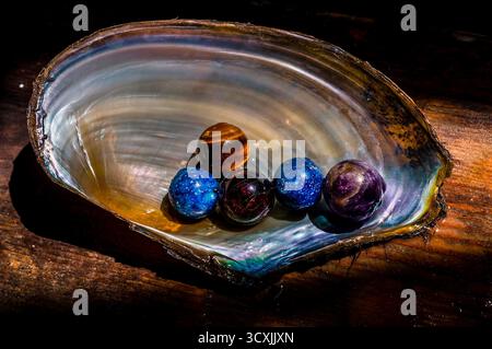 Große schillernde Muschel mit fünf polierten Steinen in verschiedenen Farben und Texturen, auf Holz platziert. Stockfoto