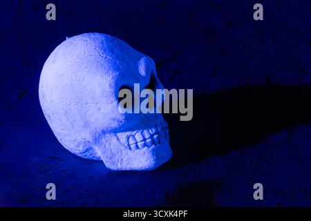Halloween-Beleuchtung, gruselige Gruselszene, Herbstfest, Schädel Stockfoto