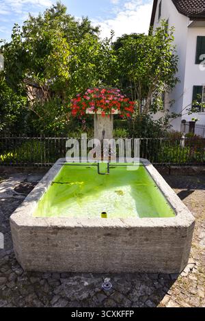 Traditioneller Brunnen und Haus mit Garten auf dem Land in der Nähe von Zürich, Schweiz Stockfoto