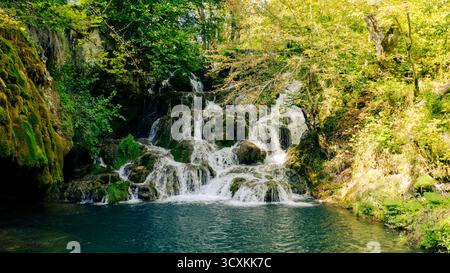 Kleiner Wasserfall umgeben von Moos und Bäumen in unberührter Waldlandschaft Stockfoto