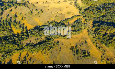 Blick von oben auf farbenfrohe Wiesen, Bäume und Waldränder, beleuchtet durch warmes Sonnenlicht Stockfoto