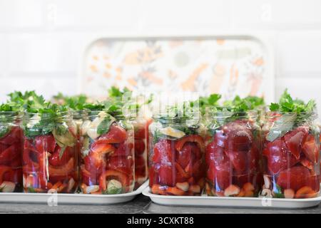 Glasgläser gefüllt mit roten Paprika, Karottenscheiben, Knoblauchzehen, Dill und Lorbeerblättern für hausgemachtes Einlegen in einer sauberen Küchenumgebung Stockfoto