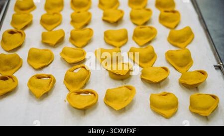 Frisch zubereitete goldene Tortellini-Pasta in Reihen auf einer weißen Oberfläche, bereit zum Kochen Stockfoto