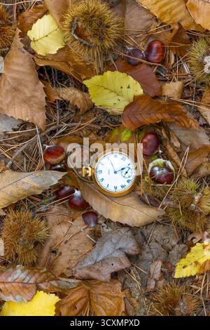 Bild der Herbstzeit. Taschenuhr auf Herbstlaub gelegt und offene Kastanien auf dem Boden. Stockfoto