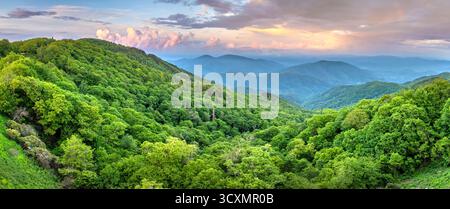 Bergwald mit grünen Baumkronen bei Sonnenuntergang im Sommer. North Carolina Wildwälder Natur im Sommer Stockfoto
