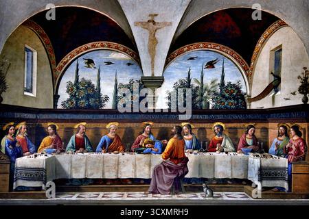Das letzte Abendmahl 1480 ist ein Fresko, das das letzte Abendmahl Jesu des italienischen Renaissance-Künstlers Domenico Ghirlandaio 1448–1494 im Kloster der Ognissanti (chiesa di San Salvatore di Ognissanti – chiesa di Ognissanti) in Florenz, Toskana, Italien darstellt. ( Letztes Abendmahl, Apostel, Apostel, das Letzte Abendmahl, Jesus mit seinen Aposteln geteilt, Jerusalem, vorher ) Stockfoto