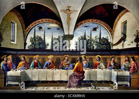 Das letzte Abendmahl 1480 ist ein Fresko, das das letzte Abendmahl Jesu des italienischen Renaissance-Künstlers Domenico Ghirlandaio 1448–1494 im Kloster der Ognissanti (chiesa di San Salvatore di Ognissanti – chiesa di Ognissanti) in Florenz, Toskana, Italien darstellt. ( Letztes Abendmahl, Apostel, Apostel, das Letzte Abendmahl, Jesus mit seinen Aposteln geteilt, Jerusalem, vorher ) Stockfoto