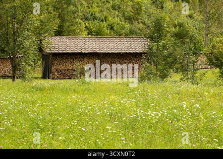 Kleiner ländlicher Holzschuppen im Wald, rustikale Landschaft Stockfoto