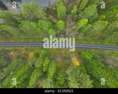 Direkter Blick von oben auf ein einziges Eisenbahngleis, das durch einen dichten immergrünen und herbstlichen Mischwald verläuft Stockfoto