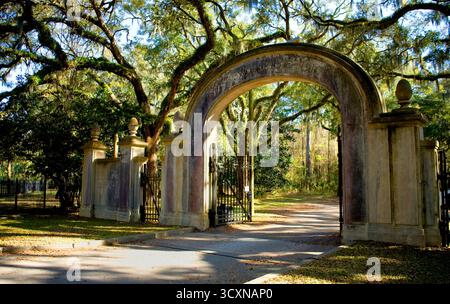 Tor an der stattlichen Eichen-Allee auf Wormsloe Plantage in Savannah, Georgia, USA. Stockfoto