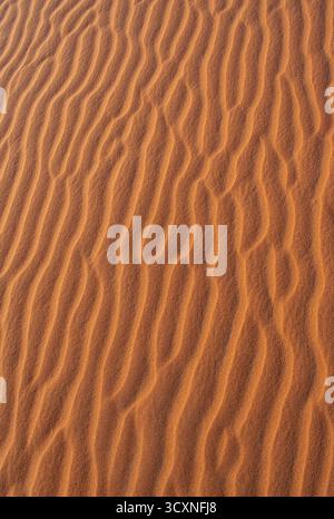 Merzouga, Marokko: Nahaufnahme und Details der Dünen von Erg Chebbi, einer Düne in der Sahara, Sandkörner, die bei Sonnenuntergang kleine Wellen auf den Dünen bilden Stockfoto