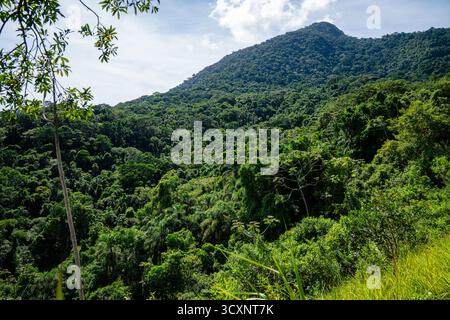 Ein üppig grüner Berg mit dichten Bäumen und tropischem Laub erhebt sich unter einem teilweise bewölkten Himmel und fängt die Schönheit der natürlichen Landschaft ein. Stockfoto