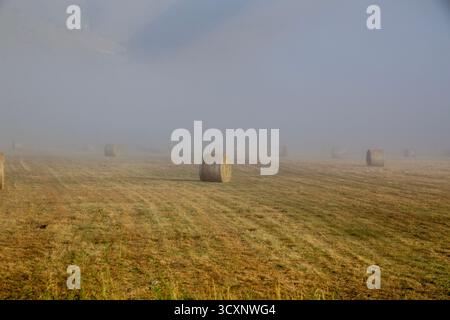 Heuballen verstreut in der Ebene, zwischen Sonnenaufgang und verblasstem Nebel, Piana di Castelluccio, Umbrien, Sibillini-Gebirge, Italien Stockfoto
