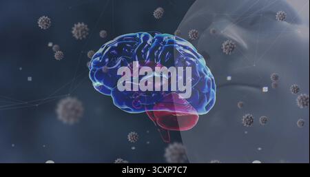 Rotierendes 3D-Gehirnmodell, das virusähnliche Partikel in Netzknoten und Kopfsilhouette im dunklen Labor zeigt Stockfoto