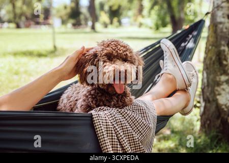 Frau, die sich in der Hängematte streichelt Hund flauschig brauner Maltipoo Hund am sonnigen Tag entspannt. Sowohl zufrieden als auch glücklich. Diese ruhige Outdoor-Szene fängt Freude ein Stockfoto